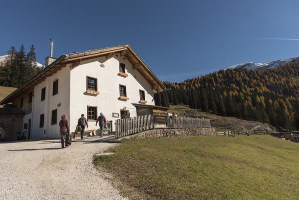 Ra Stua, Dolomiti d'Ampezzo Natural Park, Cortina d'Ampezzo, Belluno, Veneto, Italy. Malga Ra Stua refuge