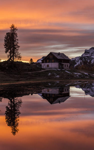 Croda da Lago, Cortina d'Ampezzo, Belluno, Veneto, Italy. Palmieri refuge