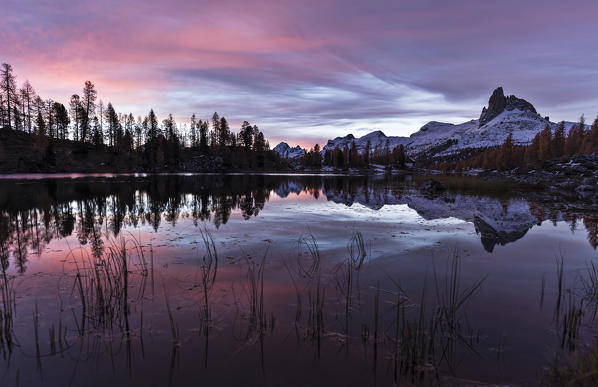 Croda da Lago, Cortina d'Ampezzo, Belluno, Veneto, Italy.  Croda da Lago