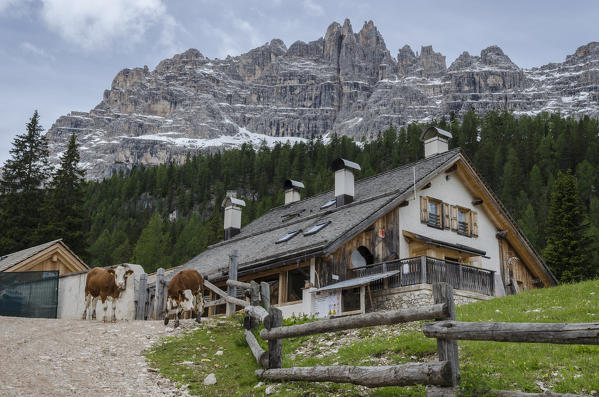 Federa, Becco di mezzodi, Cortina d'Ampezzo, Dolomiti, Dolomites, Veneto, Italy. Federa shelter