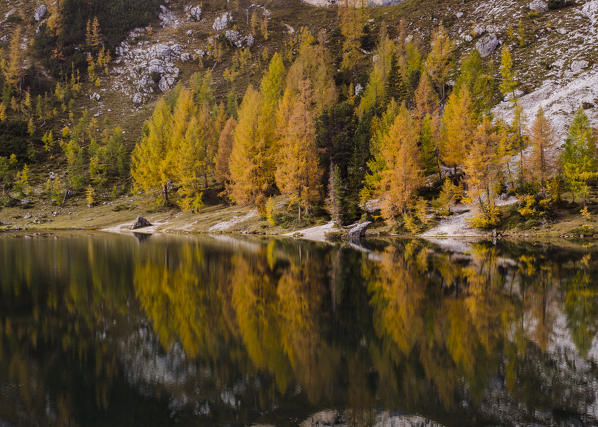 Federa lake, Becco di mezzodi, Croda da Lago, Cortina d'Ampezzo, Belluno, Veneto, Italy.  Federa lake