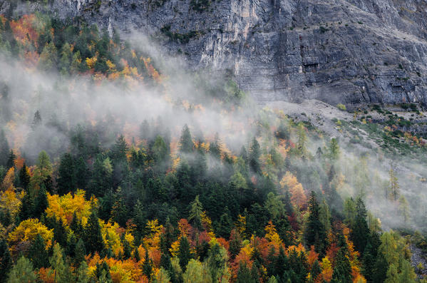 italy, trentino Alto Adige, Non valley, clouds caress tress in a autumn day.