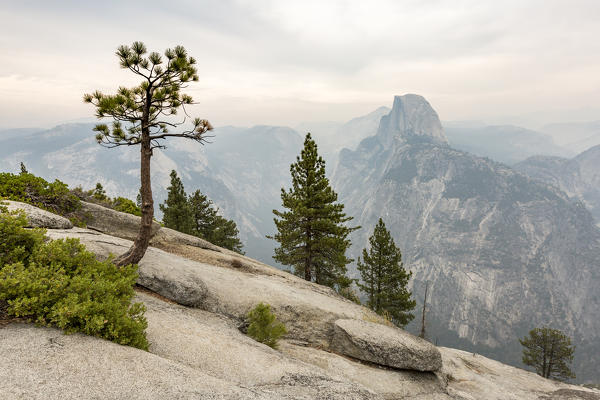 Half Dome peak shot from Glacier Point. Yosemite National Park, Mariposa County, California, USA.