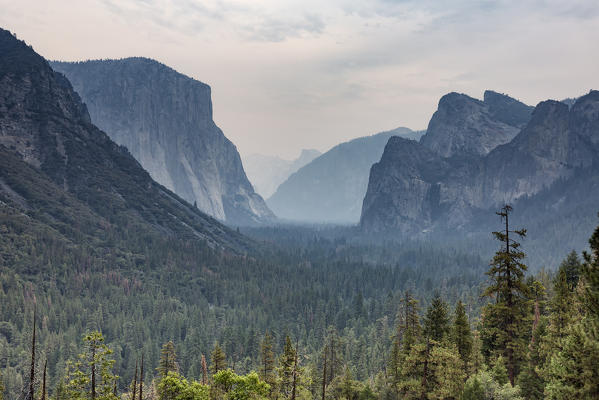 Yosemite Valley shot from Wavona Tunnel view. Yosemite National Park, Mariposa County, California, USA