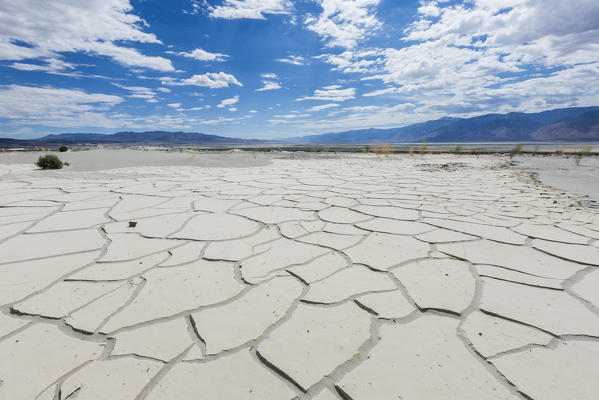 Desert landscape with lines on dry sand. Death Valley National Park, Inyo County, California, USA.