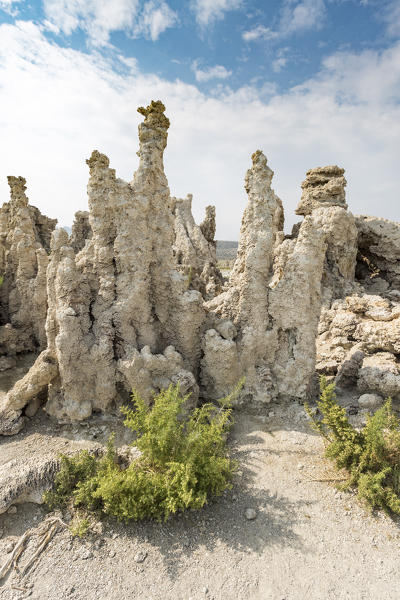 Tufa towers. Mono Lake, Mono County, California, USA.