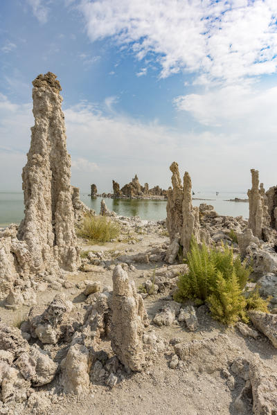 Tufa towers at Mono Lake, Mono County, California, USA.