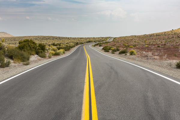 Road in Mono County, California, USA.