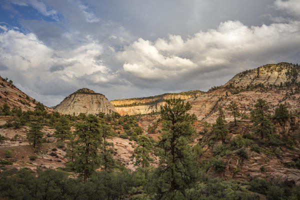 Landscape from Zion Canyon Scenic Drive. Zion National Park, Hurricane, Washington County, Utah, USA.