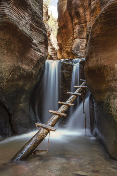 Waterfall  and ladder in Kanarra Creek Canyon. Kanarraville, Iron County, Utah, USA.