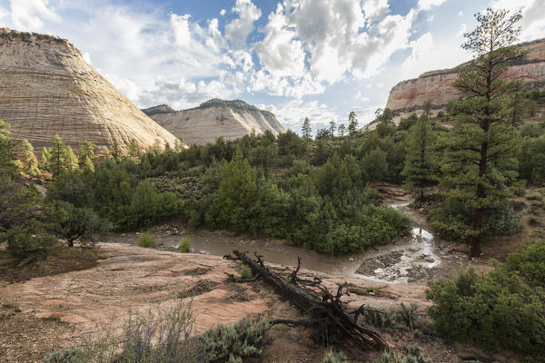 Landscape from Zion Canyon Scenic Drive. Zion National Park, Hurricane, Washington County, Utah, USA.