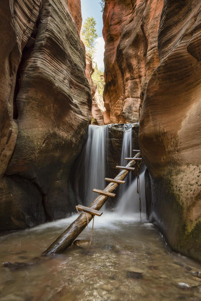 Waterfall  and ladder in Kanarra Creek Canyon. Kanarraville, Iron County, Utah, USA.