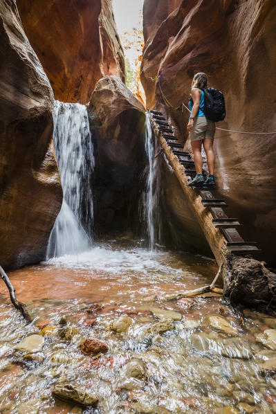 Female hiker on the ladder at Kanarra Falls. Kanarra Creek Canyon, Kanarraville, Iron County, Utah, USA.