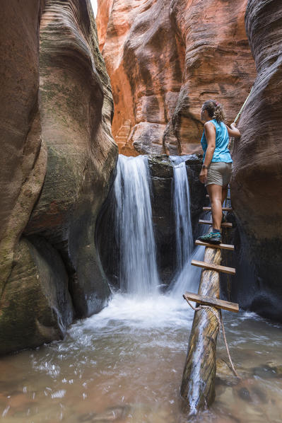 Female hiker on the ladder at Kanarra Falls. Kanarra Creek Canyon, Kanarraville, Iron County, Utah, USA.