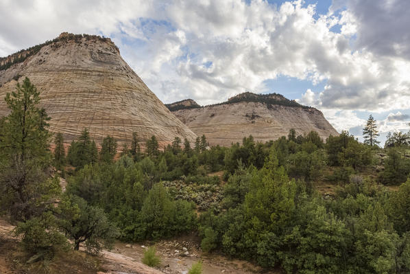 Landscape from Zion Canyon Scenic Drive. Zion National Park, Hurricane, Washington County, Utah, USA.