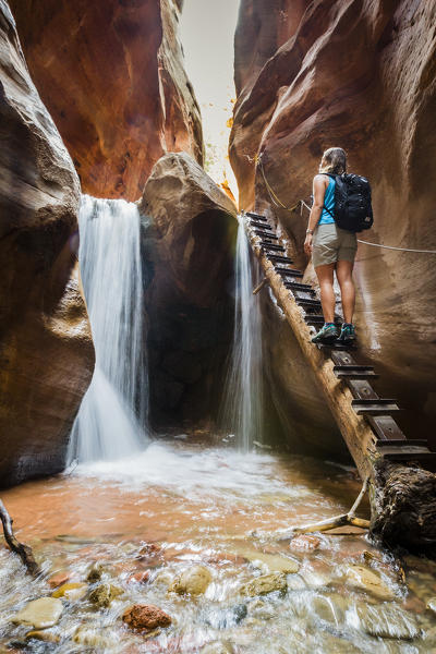 Female hiker on the ladder at Kanarra Falls. Kanarra Creek Canyon, Kanarraville, Iron County, Utah, USA.