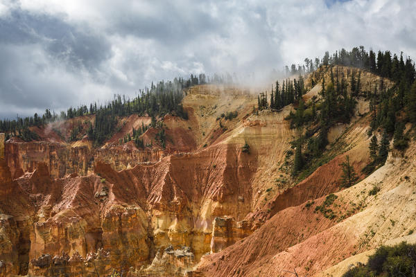 Black Birch Canyon. Bryce Canyon National Park, Garfield County, Utah, USA.