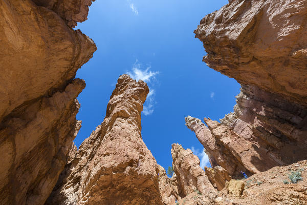 Hiker on Wall Street section of Navajo Loop Trail and hoodoos from below. Bryce Canyon National Park, Garfield County, Utah, USA.