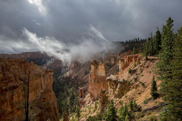 Black Birch Canyon. Bryce Canyon National Park, Garfield County, Utah, USA.