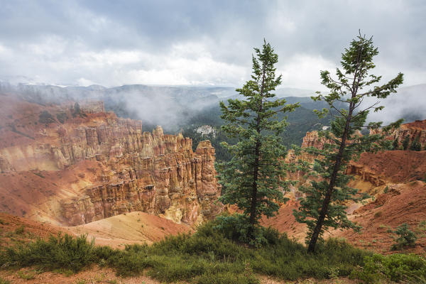 Black Birch Canyon. Bryce Canyon National Park, Garfield County, Utah, USA.