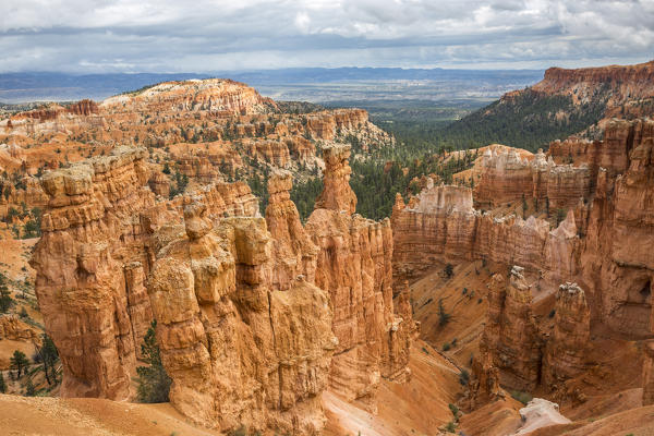 Hoodoos from Navajo Trail Loop. Bryce Canyon National Park, Garfield County, Utah, USA.