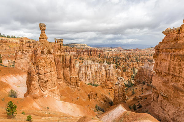 Hoodoos and Thor's Hammer from Navajo Trail Loop. Bryce Canyon National Park, Garfield County, Utah, USA.