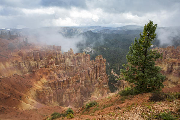 Black Birch Canyon. Bryce Canyon National Park, Garfield County, Utah, USA.