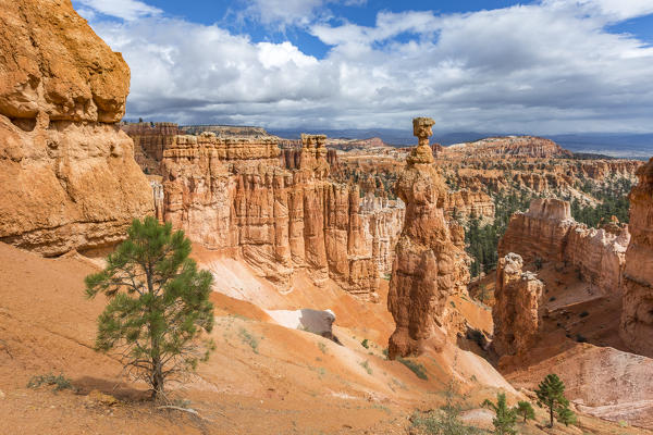 Hoodoos and Thor's Hammer from Navajo Trail Loop. Bryce Canyon National Park, Garfield County, Utah, USA.