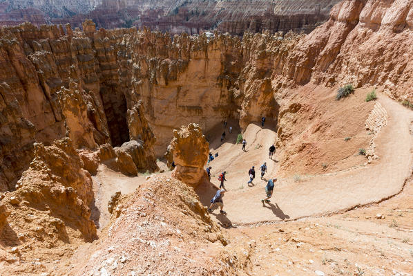 Hikers on Wall Street section of Navajo Loop Trail. Bryce Canyon National Park, Garfield County, Utah, USA.