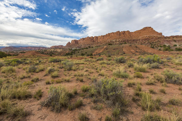 Capitol Reef National Park, Wayne County, Utah, USA.