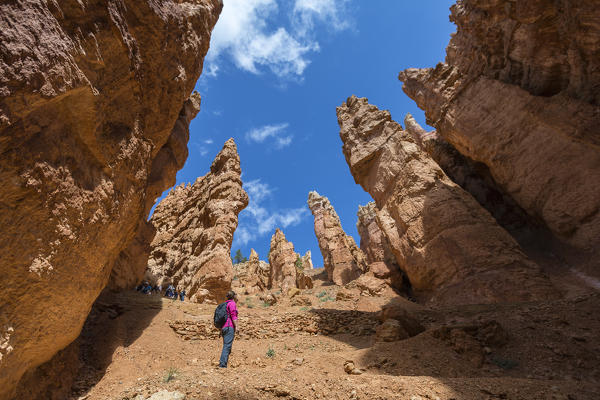 Woman hiking on Wall Street section of Navajo Loop Trail. Bryce Canyon National Park, Garfield County, Utah, USA.