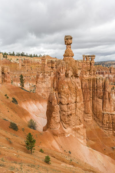 Hoodoos and Thor's Hammer from Navajo Trail Loop. Bryce Canyon National Park, Garfield County, Utah, USA.