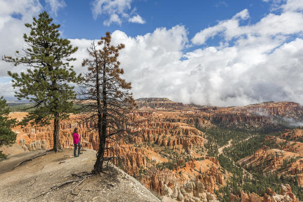 Woman gazing at the landscape from Inspiration Point. Bryce Canyon National Park, Garfield County, Utah, USA.