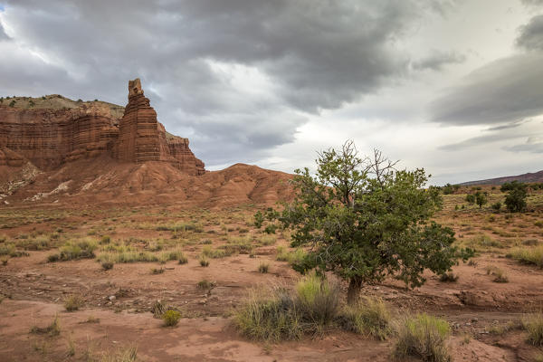 Chimney Rock. Capitol Reef National Park, Wayne County, Utah, USA.