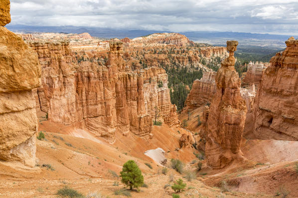 Hoodoos and Thor's Hammer from Navajo Trail Loop. Bryce Canyon National Park, Garfield County, Utah, USA.