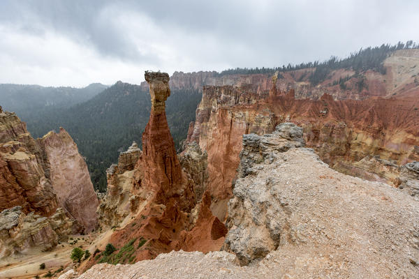 Black Birch Canyon. Bryce Canyon National Park, Garfield County, Utah, USA.