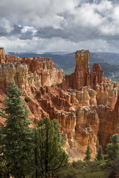 Black Birch Canyon. Bryce Canyon National Park, Garfield County, Utah, USA.