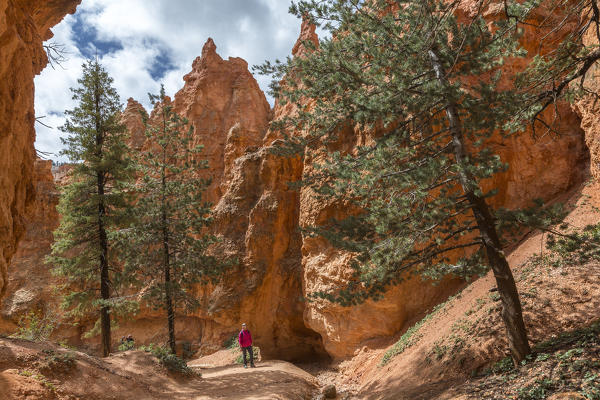 Woman hiking on Navajo Loop Trail. Bryce Canyon National Park, Garfield County, Utah, USA.