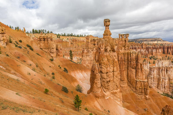 Hoodoos and Thor's Hammer from Navajo Trail Loop. Bryce Canyon National Park, Garfield County, Utah, USA.