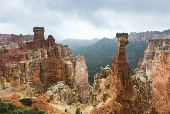 Black Birch Canyon. Bryce Canyon National Park, Garfield County, Utah, USA.