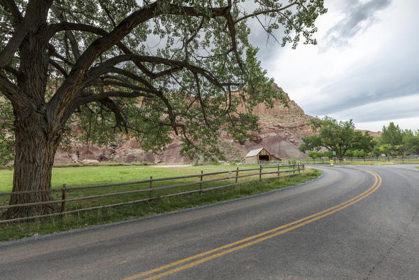 Tree and the old barn at Fruita ghost town. Teasdale, Capitol Reef National Park, Wayne County, Utah, USA.