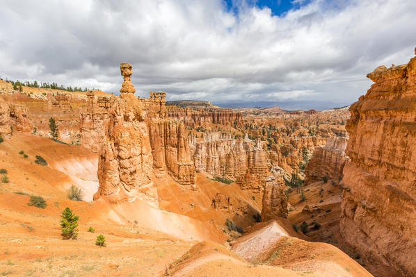 Hoodoos and Thor's Hammer from Navajo Trail Loop. Bryce Canyon National Park, Garfield County, Utah, USA.