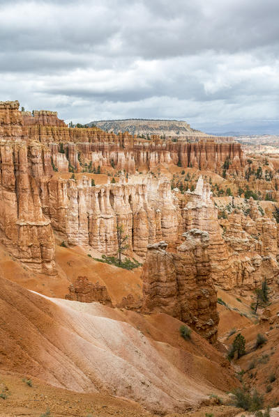 Hoodoos from Navajo Trail Loop. Bryce Canyon National Park, Garfield County, Utah, USA.