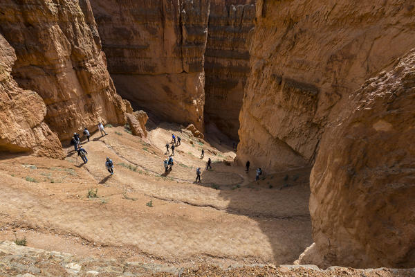 Hikers on Wall Street section of Navajo Loop Trail. Bryce Canyon National Park, Garfield County, Utah, USA.