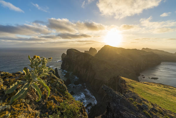 View of Point of Saint Lawrence and Furado Point at dawn. Canical, Machico district, Madeira region, Portugal.