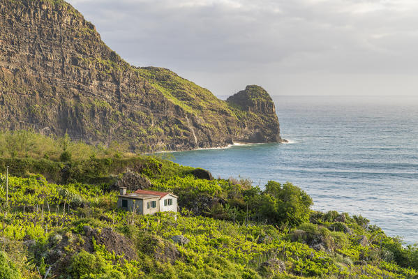 Farmhouse surrounded by fruit plantations and Clerigo Point in the background. Faial, Santana municipality, Madeira region, Portugal.