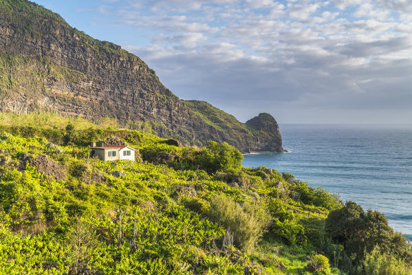 Farmhouse surrounded by fruit plantations and Clerigo Point in the background. Faial, Santana municipality, Madeira region, Portugal.