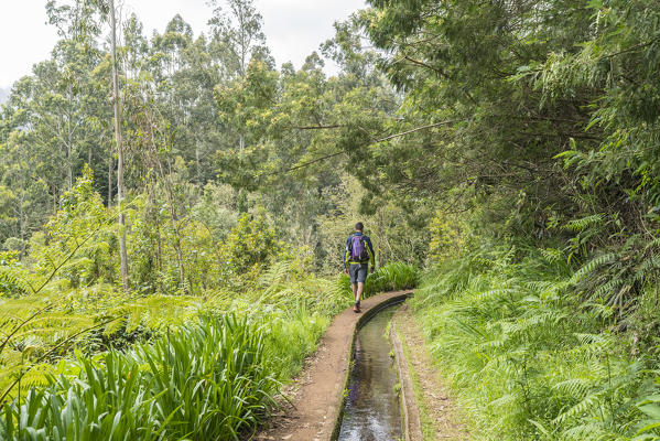 Man walking on the Levada do Rei. Sao Jorge, Santana municipality, Madeira region, Portugal.