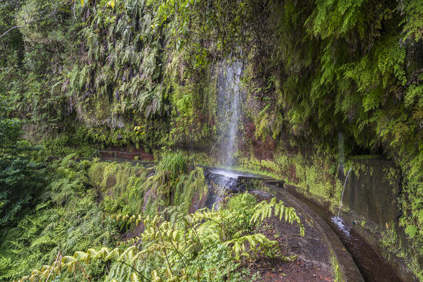 Waterfall in Levada do Rei walk. Sao Jorge, Santana municipality, Madeira region, Portugal.