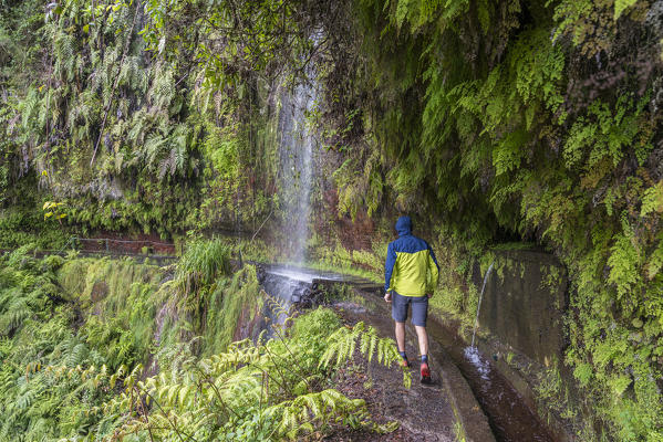 Man walking towards a waterfall in Levada do Rei walk. Sao Jorge, Santana municipality, Madeira region, Portugal.